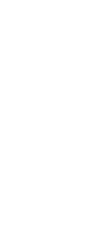 革と手